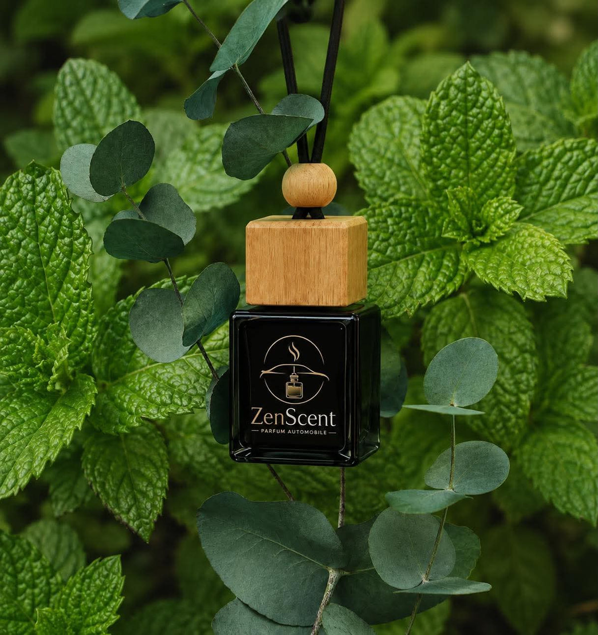 ZenScent Eucalyptus Menthe